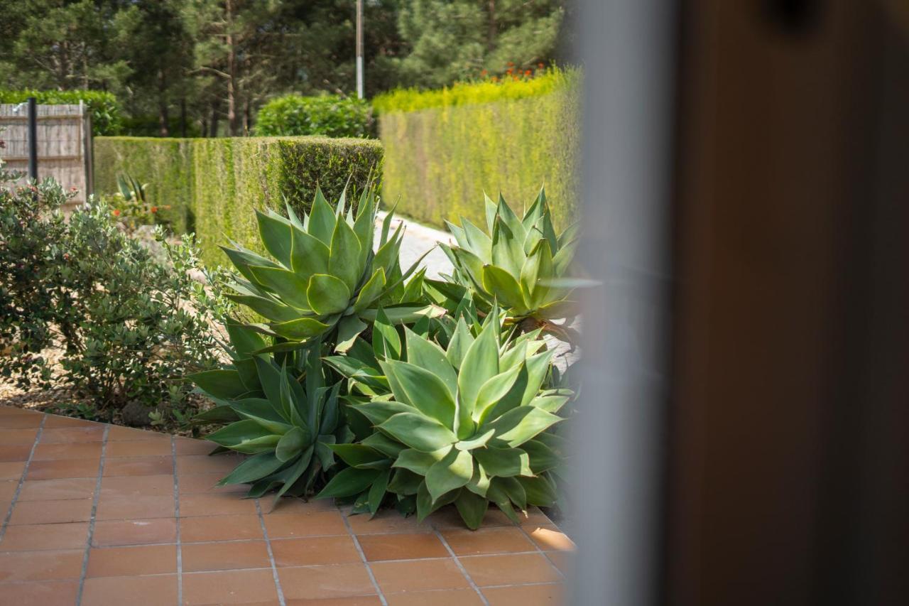 Casa Garrod - Spacious Family Villa Aljezur Exteriör bild